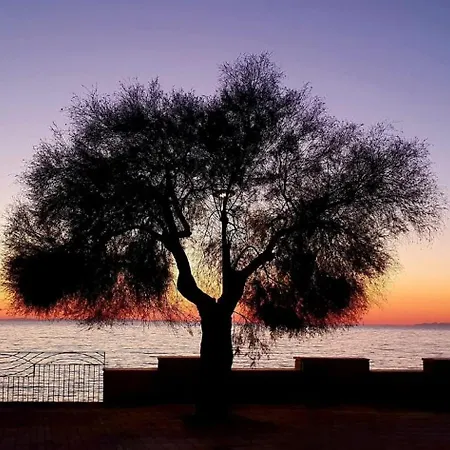 Poseidone Salento Com Vakantiehuis *